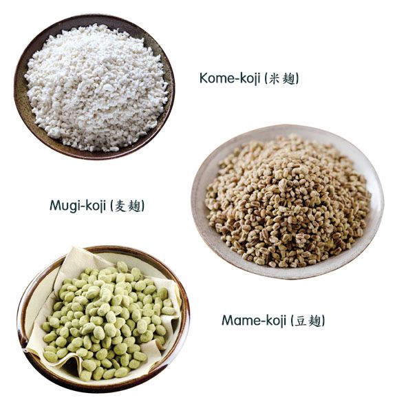 Các loại mốc Koji