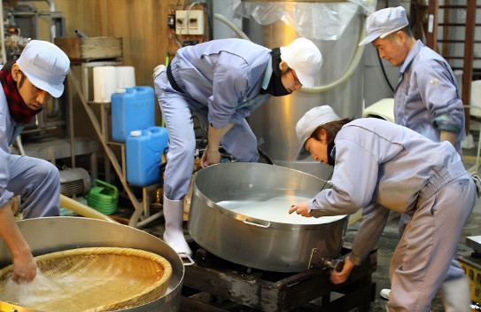 Rượu Sake Tokubetsu vảy vàng 1800ml