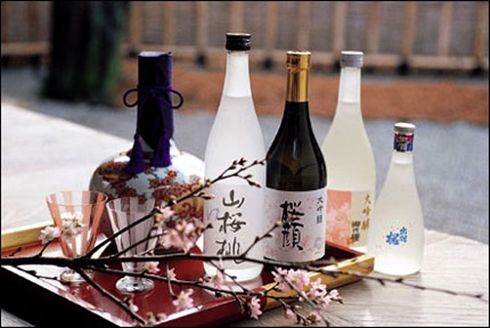 Rượu sake giá rẻ